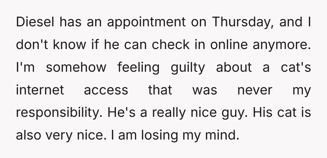 Diesel has an appointment on Thursday, and I don't know if he can check in online anymore. I'm somehow feeling guilty about a cat's internet access that was never my...