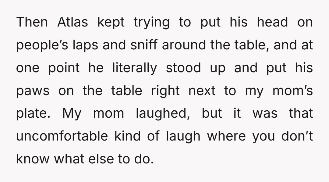 Then Atlas kept trying to put his head on people’s laps and sniff around the table, and at one point he literally stood up and put his paws on the...