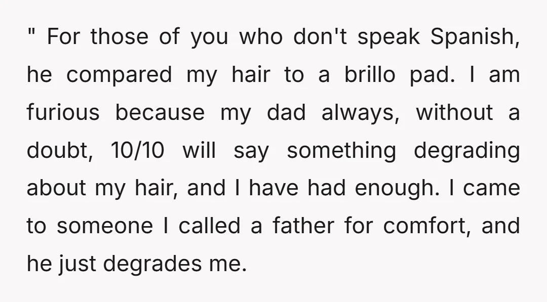 " For those of you who don't speak Spanish, he compared my hair to a brillo pad. I am furious because my dad always, without a doubt, 10/10 will say...