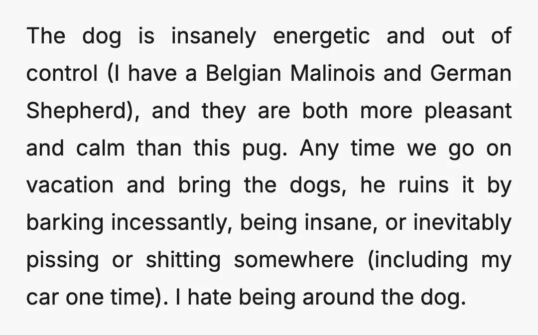 The dog is insanely energetic and out of control (I have a Belgian Malinois and German Shepherd), and they are both more pleasant and calm than this pug. Any time...