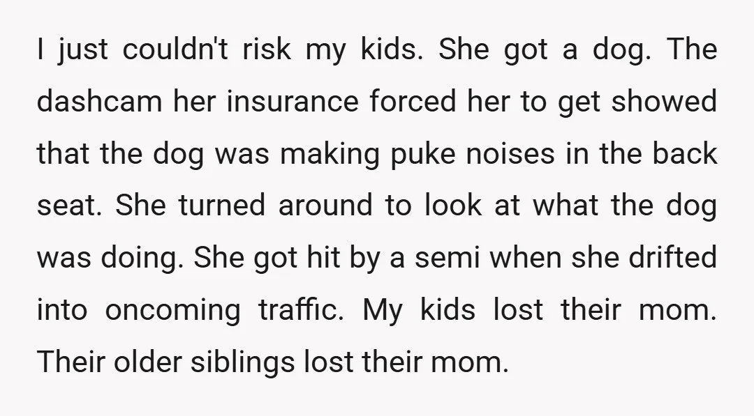 I just couldn't risk my kids. She got a dog. The dashcam her insurance forced her to get showed that the dog was making puke noises in the back seat....