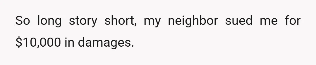 So long story short, my neighbor sued me for $10,000 in damages.