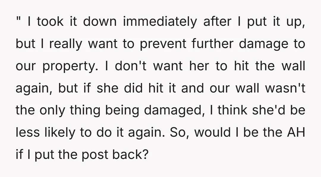 " I took it down immediately after I put it up, but I really want to prevent further damage to our property. I don't want her to hit the wall...