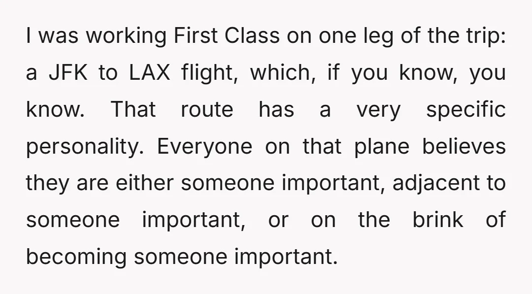 I was working First Class on one leg of the trip: a JFK to LAX flight, which, if you know, you know. That route has a very specific personality. Everyone...