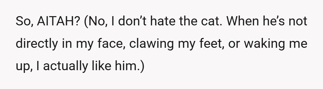 So, AITAH? (No, I don’t hate the cat. When he’s not directly in my face, clawing my feet, or waking me up, I actually like him.)