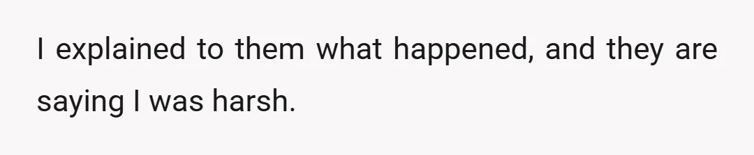 I explained to them what happened, and they are saying I was harsh.