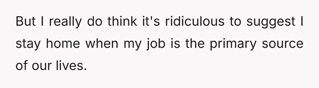 But I really do think it's ridiculous to suggest I stay home when my job is the primary source of our lives.