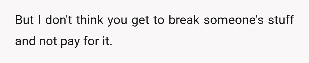 But I don't think you get to break someone's stuff and not pay for it.