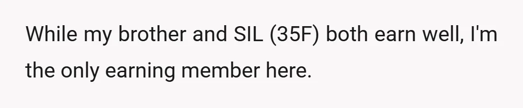 While my brother and SIL (35F) both earn well, I'm the only earning member here.