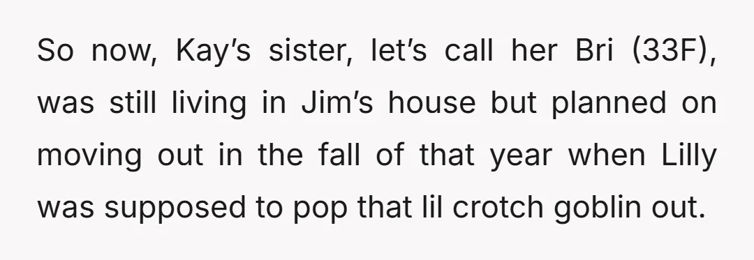 So now, Kay’s sister, let’s call her Bri (33F), was still living in Jim’s house but planned on moving out in the fall of that year when Lilly was supposed...
