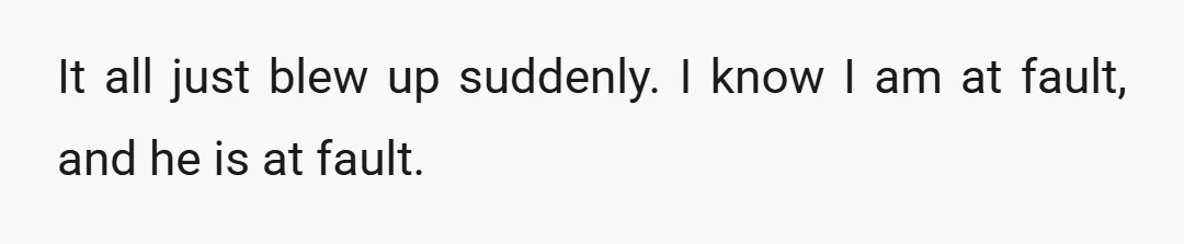 It all just blew up suddenly. I know I am at fault, and he is at fault.