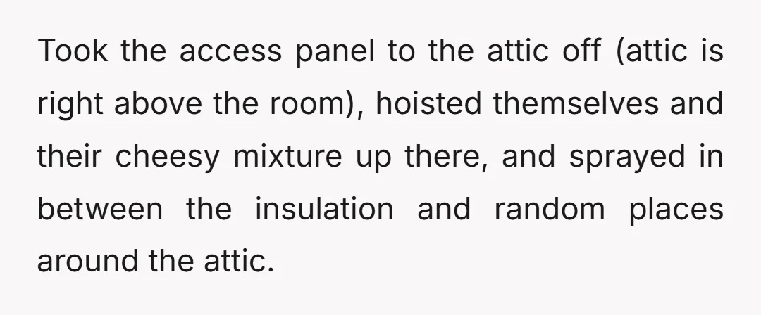 They took this chonky, rotten cottage cheese mixture and sprayed around the entire border of the room in between the carpet and baseboards.