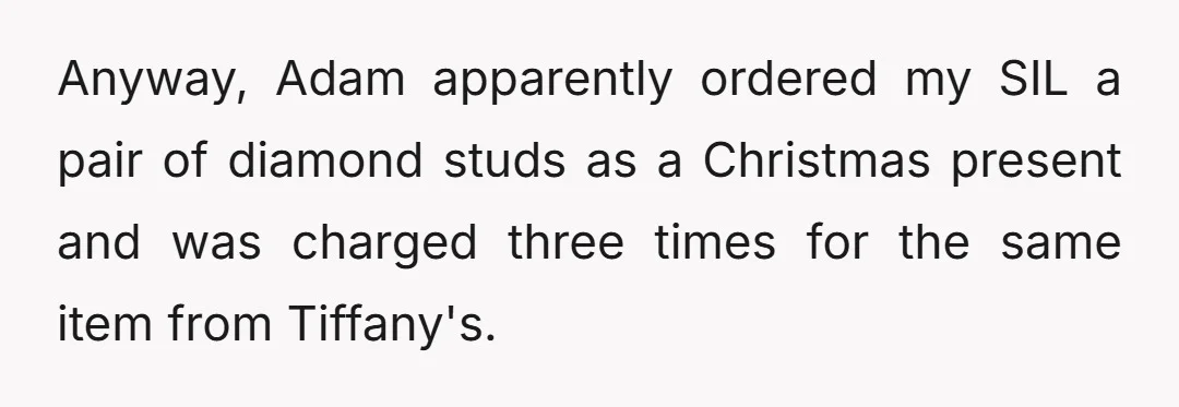 Anyway, Adam apparently ordered my SIL a pair of diamond studs as a Christmas present and was charged three times for the same item from Tiffany's.