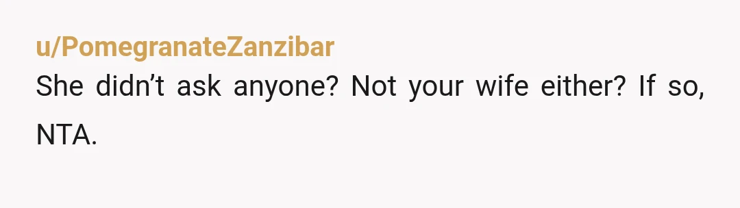 u/PomegranateZanzibar
She didn’t ask anyone? Not your wife either? If so, NTA.