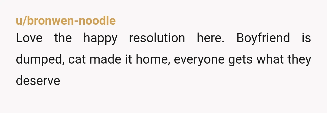 u/bronwen-noodle
Love the happy resolution here. Boyfriend is dumped, cat made it home, everyone gets what they deserve