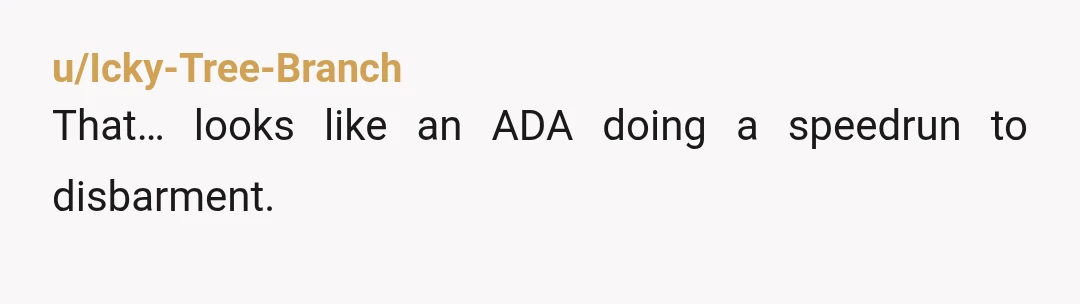 u/Icky-Tree-Branch That… looks like an ADA doing a speedrun to disbarment. 