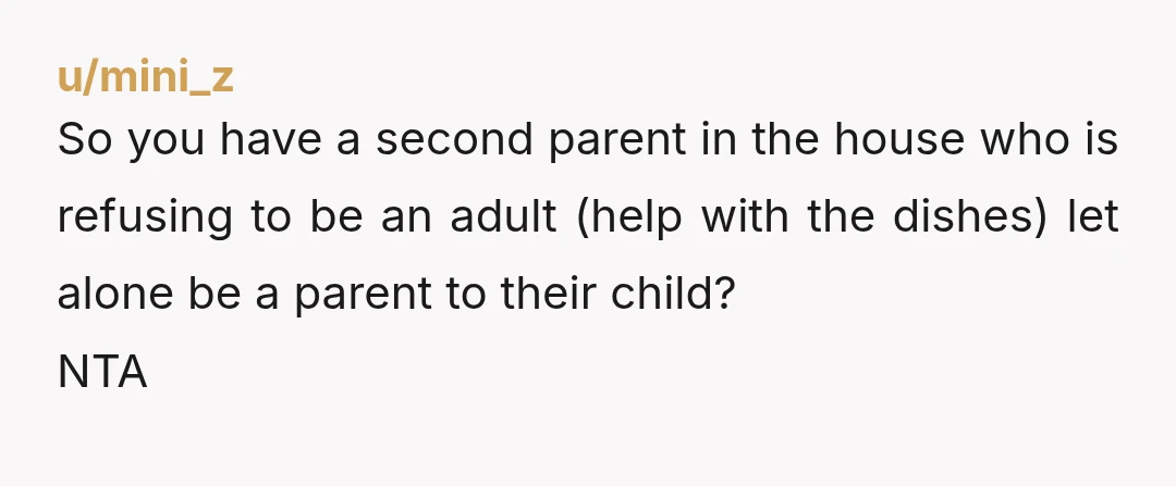 u/mini_z So you have a second parent in the house who is refusing to be an adult (help with the dishes) let alone be a parent to their child? NTA