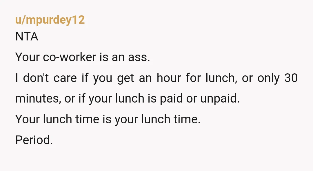 u/mpurdey12 NTA Your co-worker is an ass. I don't care if you get an hour for lunch, or only 30 minutes, or if your lunch is paid or unpaid. Your...