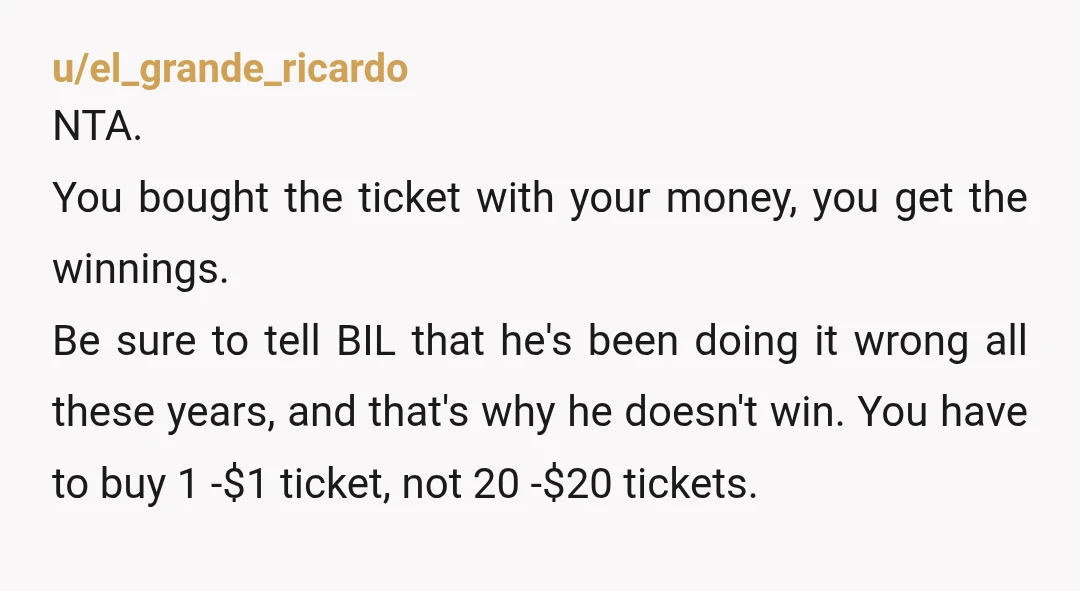 u/el_grande_ricardo NTA. You bought the ticket with your money, you get the winnings. Be sure to tell BIL that he's been doing it wrong all these years, and that's why...