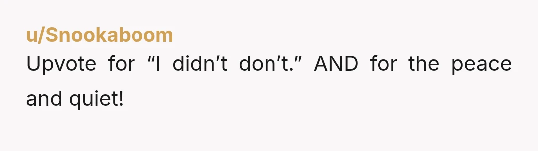 u/Snookaboom
Upvote for “I didn’t don’t.” AND for the peace and quiet!