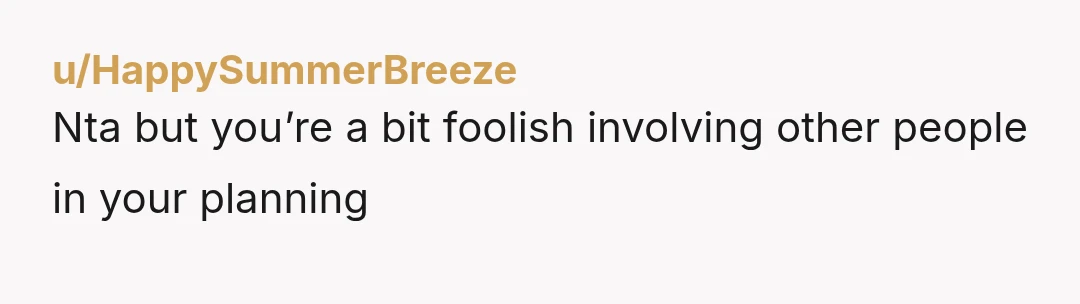 u/HappySummerBreeze
Nta but you’re a bit foolish involving other people in your planning