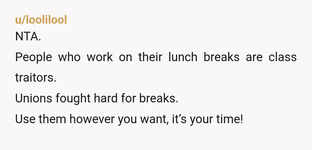 u/loolilool NTA. People who work on their lunch breaks are class traitors. Unions fought hard for breaks. Use them however you want, it’s your time!