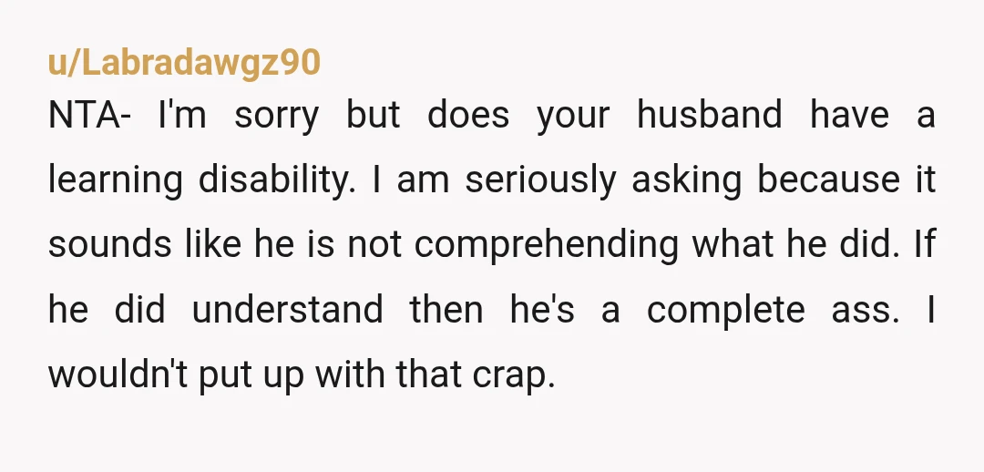 u/Labradawgz90 NTA- I'm sorry but does your husband have a learning disability. I am seriously asking because it sounds like he is not comprehending what he did. If he did...