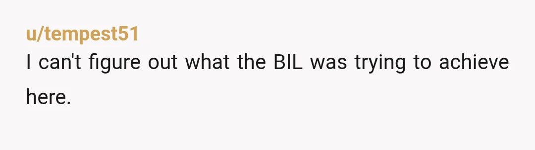u/tempest51
I can't figure out what the BIL was trying to achieve here.