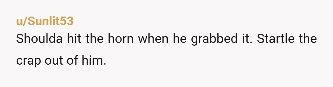 u/Sunlit53
Shoulda hit the horn when he grabbed it. Startle  the crap out of him.