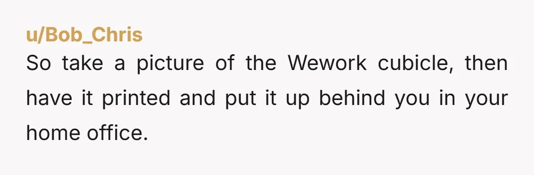u/Bob_Chris
So take a picture of the Wework cubicle, then have it printed and put it up behind you in your home office.
