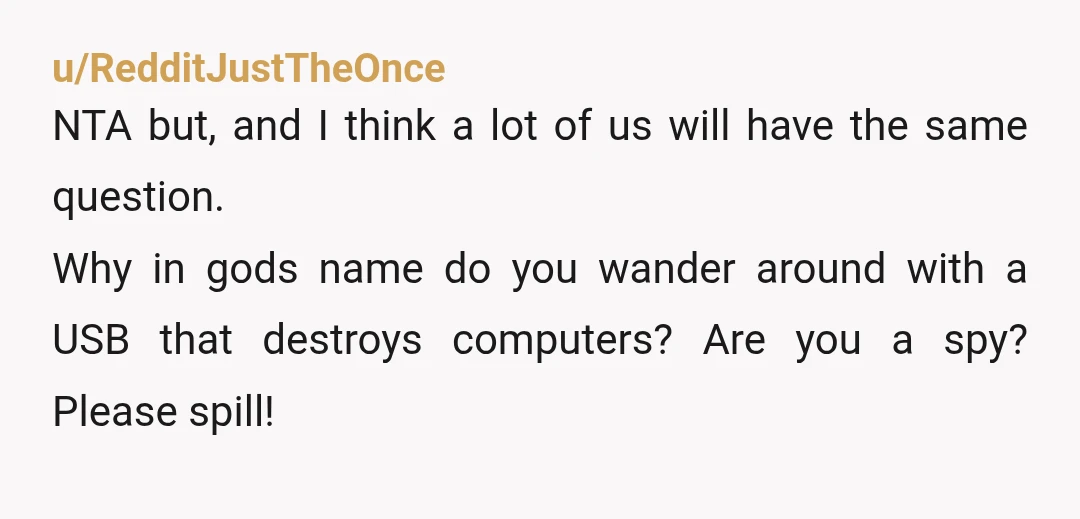 u/RedditJustTheOnce NTA but, and I think a lot of us will have the same question. Why in gods name do you wander around with a USB that destroys computers? Are...