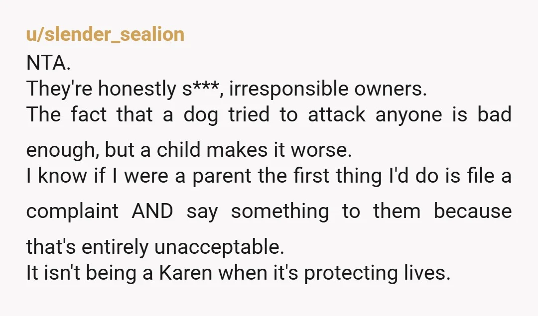u/slender_sealion NTA. They're honestly s***, irresponsible owners. The fact that a dog tried to attack anyone is bad enough, but a child makes it worse. I know if I were...