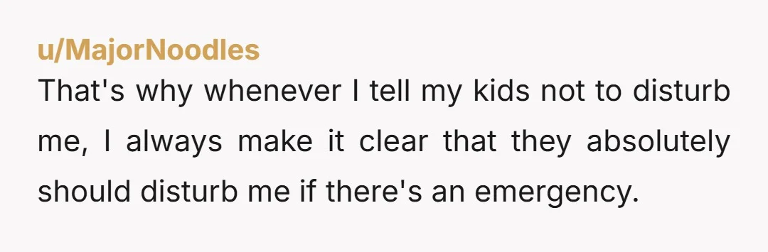 u/MajorNoodles That's why whenever I tell my kids not to disturb me, I always make it clear that they absolutely should disturb me if there's an emergency.