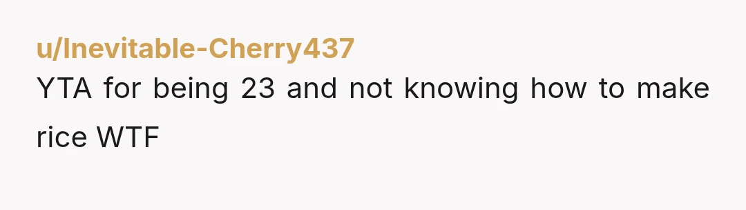 u/Open_Sector_3858
YTA, if you are this dumb, you should not watch children.  This borders abuse by neglect.