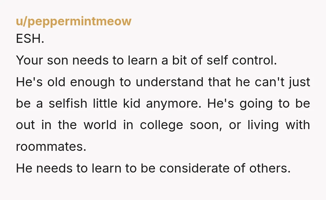 u/peppermintmeow ESH. Your son needs to learn a bit of self control. He's old enough to understand that he can't just be a selfish little kid anymore. He's going to...