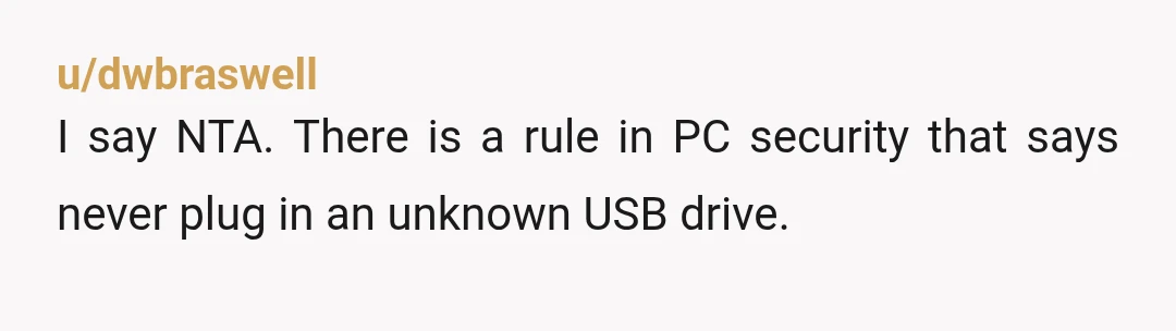 u/dwbraswell
I say NTA.  There is a rule in PC security that says never plug in an unknown USB drive.