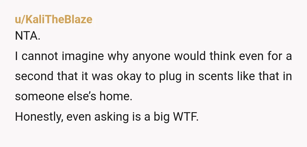 u/KaliTheBlaze NTA. I cannot imagine why anyone would think even for a second that it was okay to plug in scents like that in someone else’s home. Honestly, even asking...