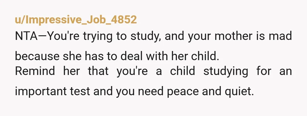 u/Impressive_Job_4852 NTA—You're trying to study, and your mother is mad because she has to deal with her child. Remind her that you're a child studying for an important test and...