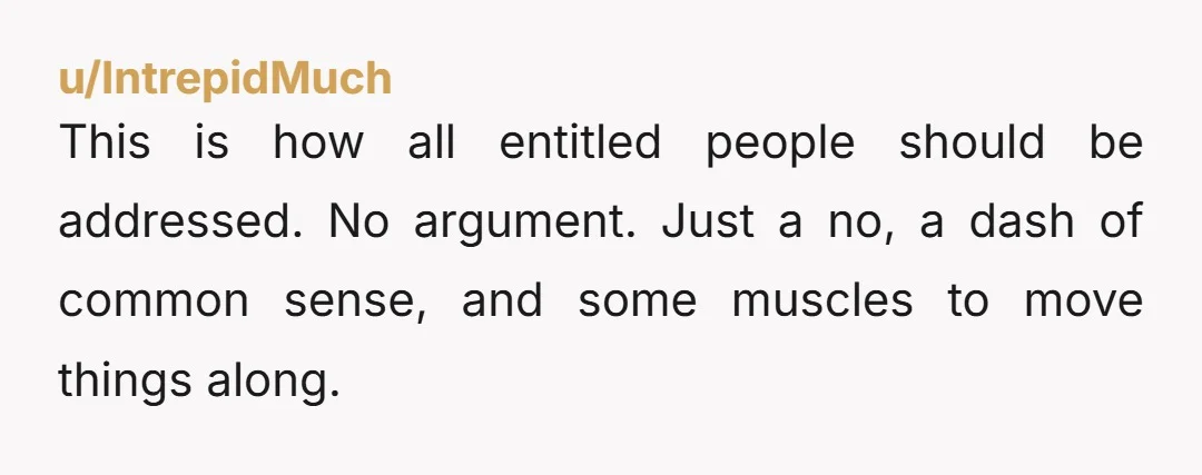 u/IntrepidMuch This is how all entitled people should be addressed. No argument. Just a no, a dash of common sense, and some muscles to move things along.