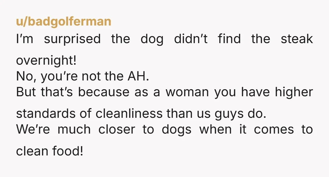 u/badgolferman I’m surprised the dog didn’t find the steak overnight! No, you’re not the AH. But that’s because as a woman you have higher standards of cleanliness than us guys...