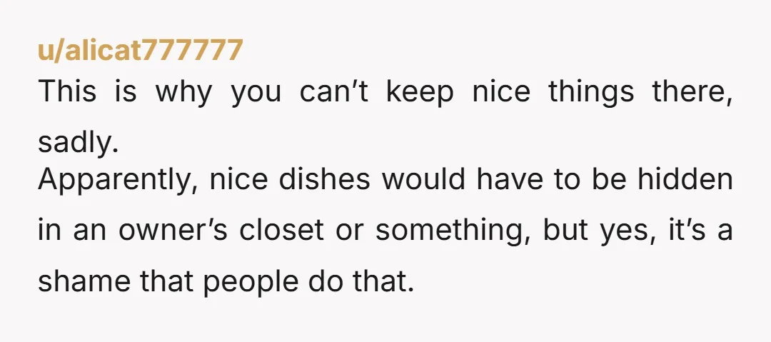 u/alicat777777 This is why you can’t keep nice things there, sadly. Apparently, nice dishes would have to be hidden in an owner’s closet or something, but yes, it’s a shame...