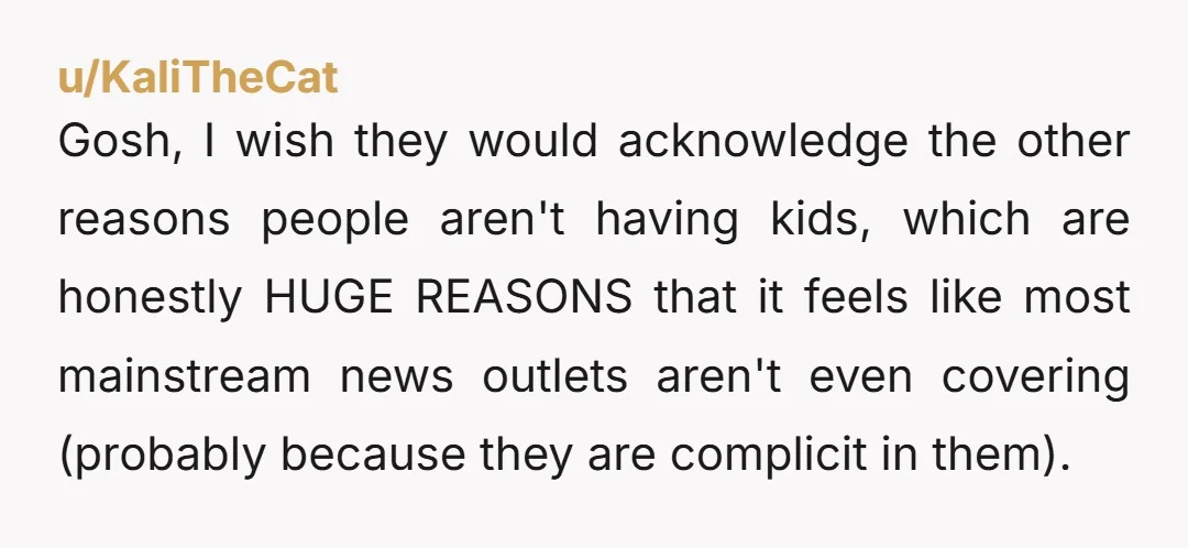 u/KaliTheCat Gosh, I wish they would acknowledge the other reasons people aren't having kids, which are honestly HUGE REASONS that it feels like most mainstream news outlets aren't even covering...