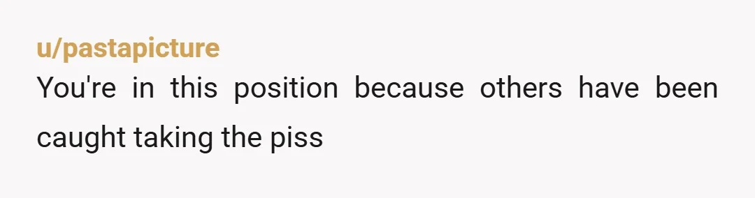 u/pastapicture
You're in this position because others have been caught taking the piss