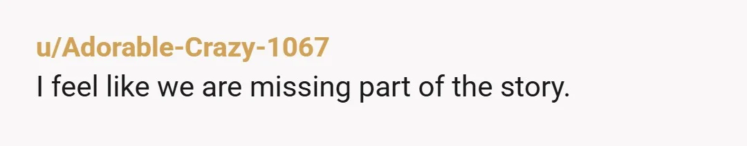u/Adorable-Crazy-1067
I feel like we are missing part of the story.