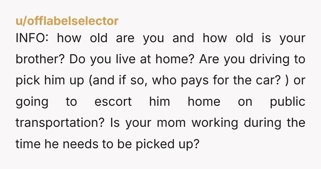 u/offlabelselector INFO: how old are you and how old is your brother? Do you live at home? Are you driving to pick him up (and if so, who pays for...