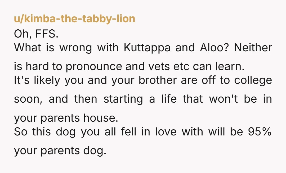 u/kimba-the-tabby-lion Oh, FFS. What is wrong with Kuttappa and Aloo? Neither is hard to pronounce and vets etc can learn. It's likely you and your brother are off to college...