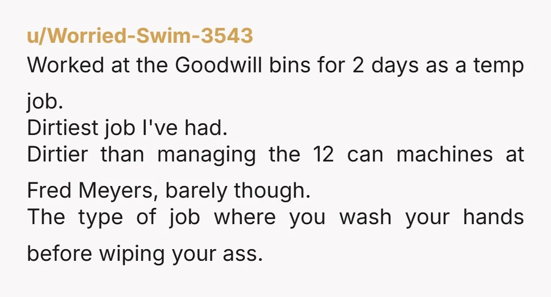 u/Worried-Swim-3543 Worked at the Goodwill bins for 2 days as a temp job. Dirtiest job I've had. Dirtier than managing the 12 can machines at Fred Meyers, barely though. The...