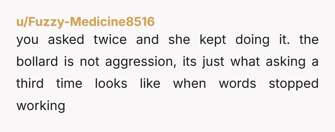 u/Fuzzy-Medicine8516
you asked twice and she kept doing it. the bollard is not aggression, its just what asking a third time looks like when words stopped working