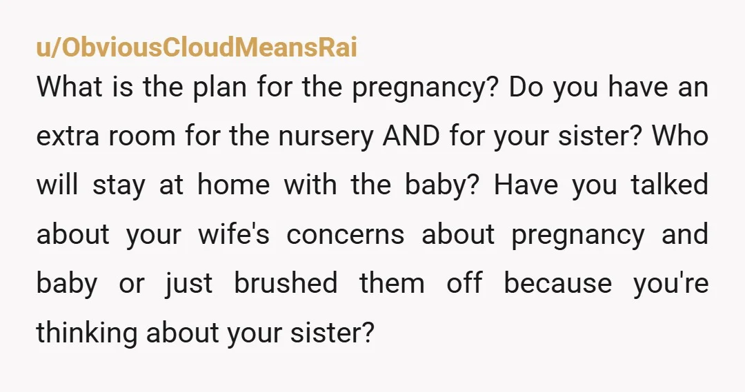 u/ObviousCloudMeansRai What is the plan for the pregnancy? Do you have an extra room for the nursery AND for your sister? Who will stay at home with the baby? Have...