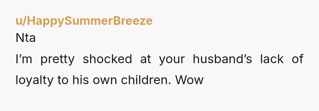 u/HappySummerBreeze Nta I’m pretty shocked at your husband’s lack of loyalty to his own children. Wow